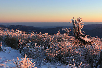 태백에 오르다. - 겨울 태백산의 전경 태백에 오르다. - 겨울 태백산의 전경