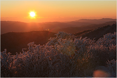 태백에 오르다. - 해질녘 겨울 태백산 태백에 오르다. - 해질녘 겨울 태백산
